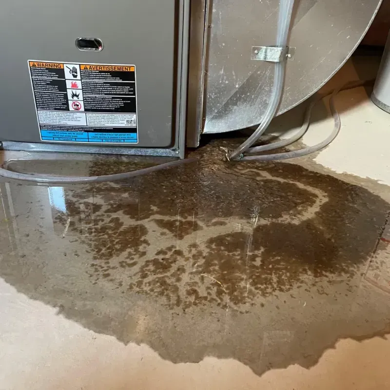 Appliance Leak Cleanup in Herscher, IL